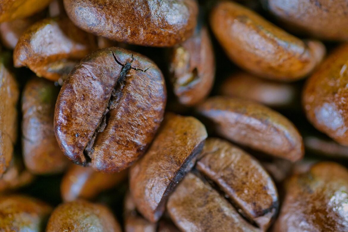 Unlock the Flavor: A Comprehensive Review of Whole Coffee Beans That Elevate Your Morning Brew