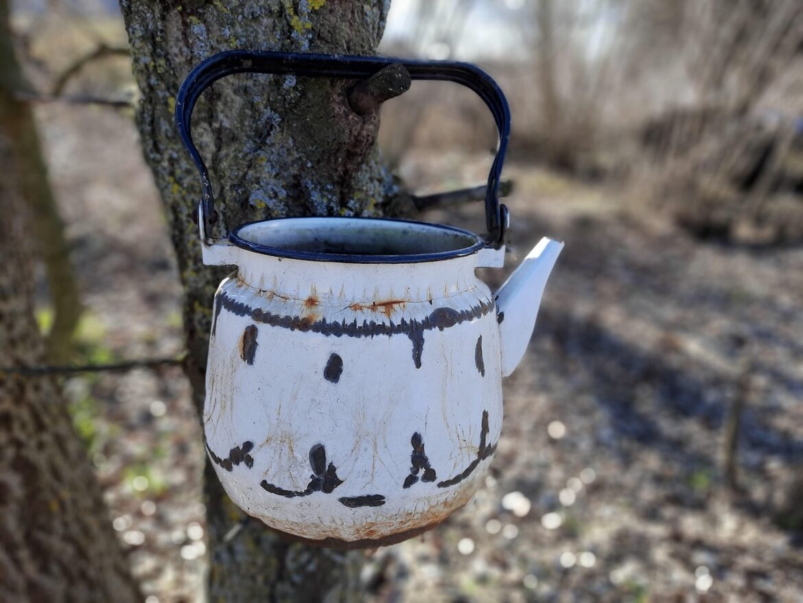 Unleash Your Brewing Potential: An In-Depth Review of Gooseneck Coffee Kettles